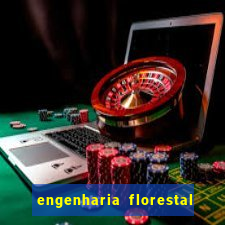 engenharia florestal ead cruzeiro do sul